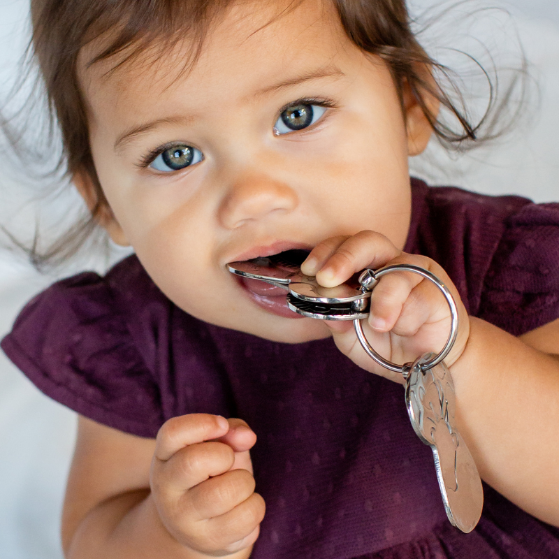 Kleynimals - Stainless Steel Rattle - Little Genius