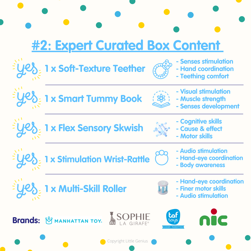 Genius Box 2: The Enchanted Months! (3-4 Months Old) - Little Genius