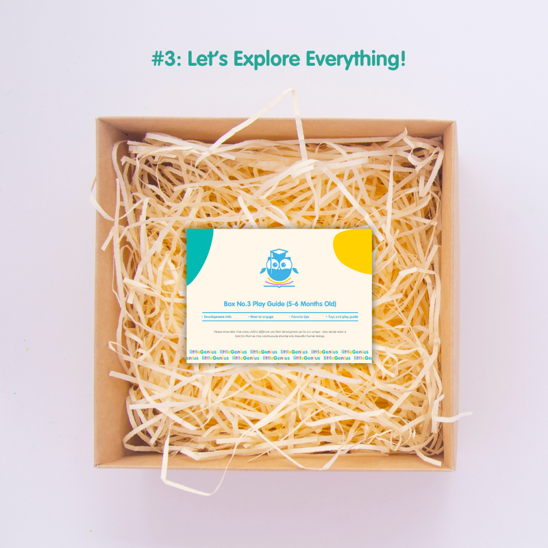 Genius Box 3: Let’s Explore Everything! (5-6 Months Old) - Little Genius