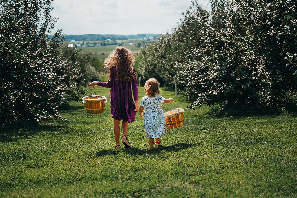 The story behind the egg hunting tradition