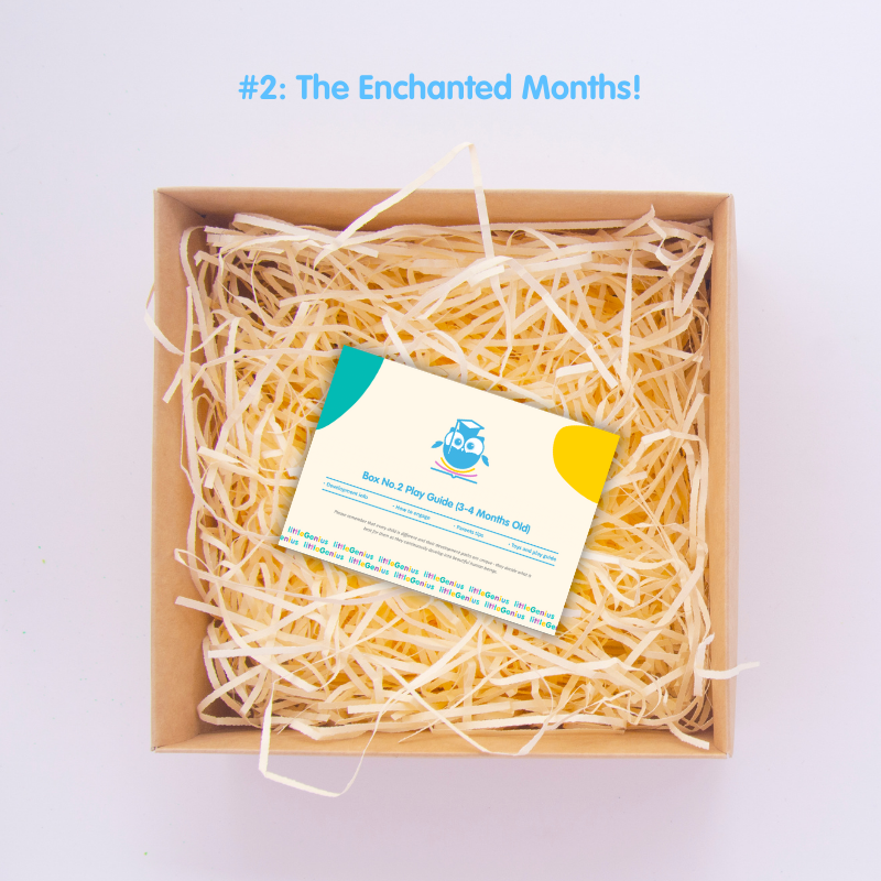 Genius Box 2: The Enchanted Months! (3-4 Months Old) - Little Genius