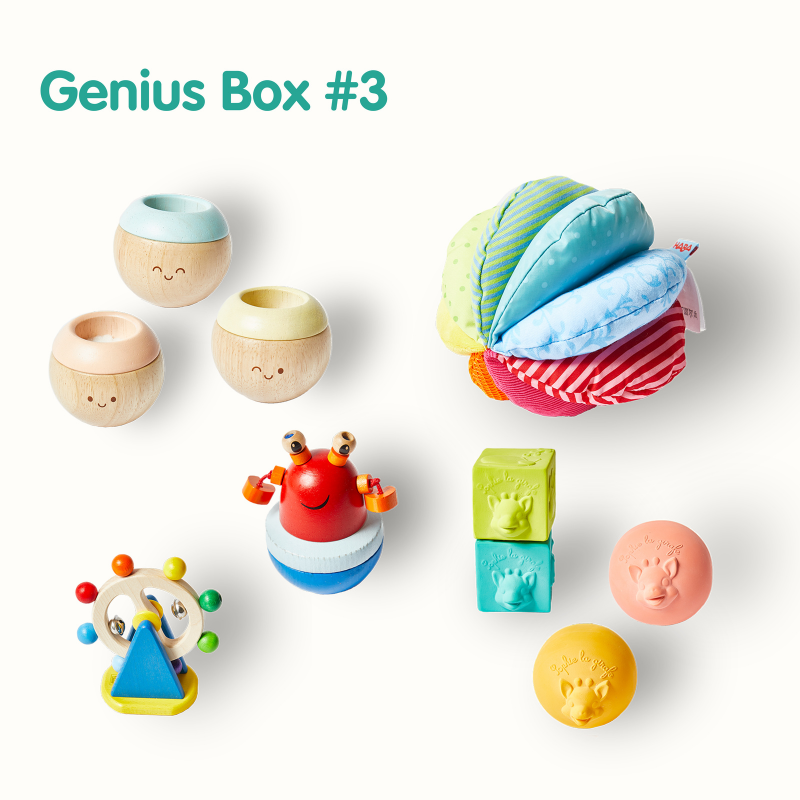 Abonnement jouets bébé Genius Box 3: Explorons tout! (5-6 mois)– Little  Genius