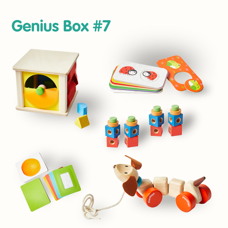 Abonnement jouets bébé Genius Box 3: Explorons tout! (5-6 mois)– Little  Genius